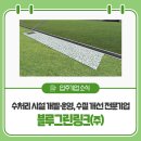 블루그린링크(주) 네이버블로그