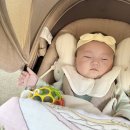 영돌농장 | [알리깡] 이래서 알리를 못끊지... 기대 1도 안 했는데 너무 잘 가지고 노는 알리템과 실패템 리얼 후기