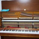 연제구-107 이미지