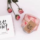 유럽에서 주목받는 K-뷰티 브랜드 TOP 5