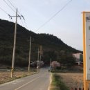 금커피숍 이미지
