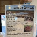 알로하펜션 | 대부도소금빵맛집 함초당&amp;알로하피크닉, 여유로웠던 소금빵 타임