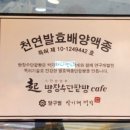 빵장수단팥빵포항양학점