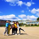 부산초등학교 이미지