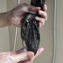 바른면 | [공지] 산후 탈모샴푸 바른뷰티 더보다 원클리닉 샴푸 사용 후기