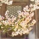 사진교실 이미지