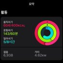 2024 January : 플로움쇼룸/미셸들라크루아 전시회/심퍼티쿠시