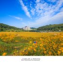 광산마을 이미지