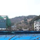 청성미락 이미지