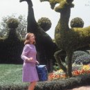 청소년문화공원 이미지