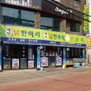 강서구청 티스토리