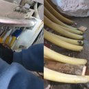 사임당로17길 101 이미지