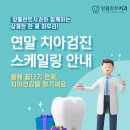 양플란트치과의원 이미지