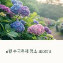 [일원3] 사진작가로 데뷔하기 | 6월의 절정, 수국축제 명소 BEST 5 사진,맛집,힐링까지 완전 정리