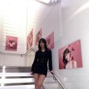 모모라인