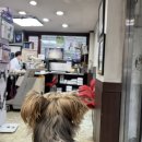 북악동물병원 이미지