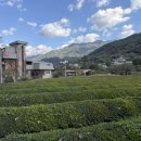 홍인펜션 이미지