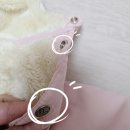 엔젤퍼피 | [퍼피엔젤] 강아지 패딩 올인원 겨울철 기모 안감으로 따듯해요! / 내돈내산 후기 !