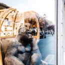 P091 | 필연적 편협
