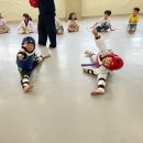 현진태권도 이미지