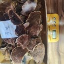 박달상황버섯 개회상황버섯 판매 이미지