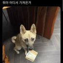 은혜네 이미지