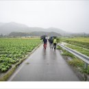 둔암 오기열 기적비 이미지