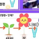 백점수학교실 | 월간교실 악토쌤 수학정원 연수 후기