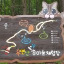 우면산유아숲체험장 네이버블로그