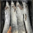 금갈치은고등어 이미지