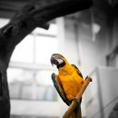 추억농장 이미지