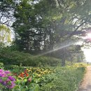 골드cc 야간라운딩 후기 5월 야간골프라운딩에 갈 때는 이거 꼭 챙기세요!