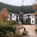 새싹발트유치원 이미지