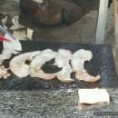 욱일농장 Daum카페