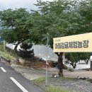 동선농장 이미지