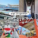 부산광역시 영도구 와치로 | 부산 가볼만한곳 추천 4곳 나홀로 영도 뚜벅이 여행