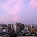 전화일본어 캐스트일본어 레벨테스트, 수업후기
