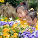 삼애어린이집 이미지