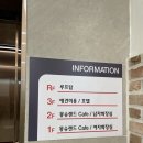 경산카랜드 | [ 하양 신상 애견 카페 / 경산 애견 카페 ] 몽슈랜드