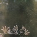 Film 필름 | 후지 오토오토 200, 올림푸스OM-1 | 컬러네거, 빈티지필름, 유통기한 지난 필름, 망함