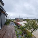 구해줘공인중개사사무소 이미지