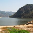 오륜대로 이미지