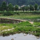 봉평메밀숲 이미지