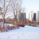 비비정 상생 도시숲 이미지