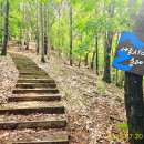 금남면사무소 이미지