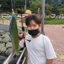 아르코풀빌라펜션 이미지