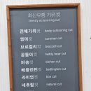 사람과 애견미용 이미지