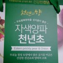 우포마을기업 이미지