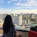 에이치원정비 | 광주호캉스_광주 유일의 루프탑 수영장 에이치원호텔 디럭스킹룸(9월 수영장, 조식 이벤트중)