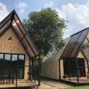 동이애견 이미지